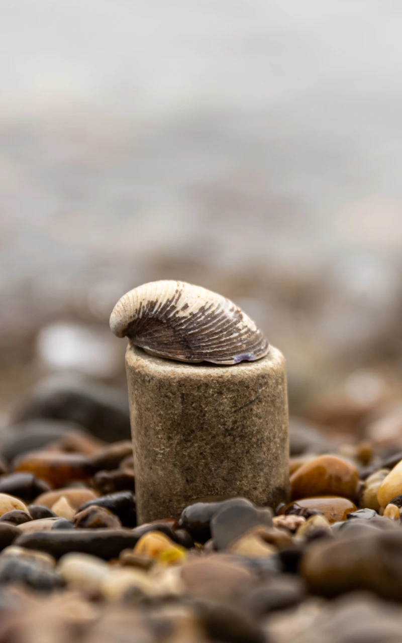 Generative Engine Optimization (GEO): Get your content selected by AI